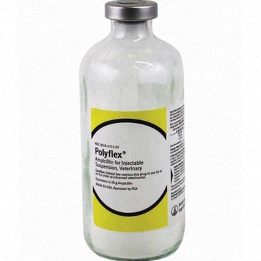 Acheter Ampicillin - Illustration d’une boîte de comprimés