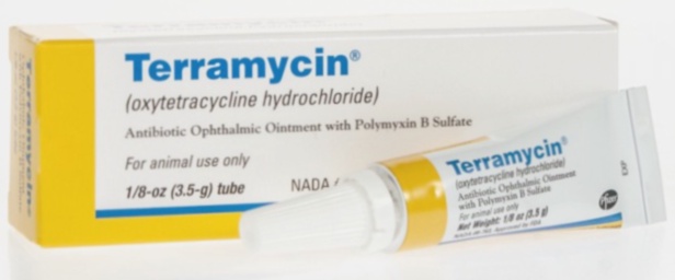 Terramycin - tube de pommade et illustration